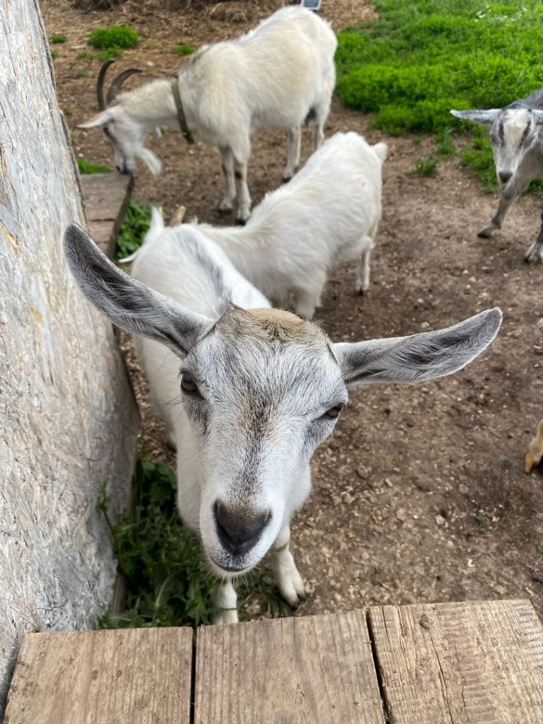 YkBJjBWkUjA.jpg YkBJjBWkUjA.jpg